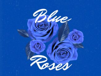 TshegoDeDjy Blue Roses Mp3 Download