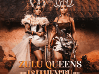 Zulu Queens Izinto Zedlozi Mp3 Download