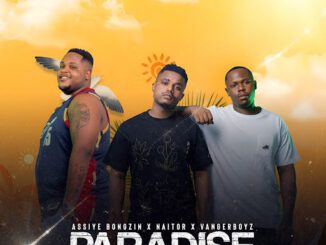 Assiye Bongzin Paradise Mp3 Download