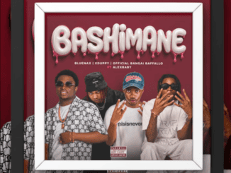 Bluenax Bashimane Mp3 Download