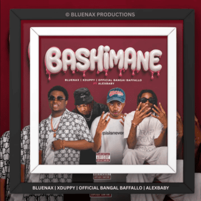 Bluenax Bashimane Mp3 Download