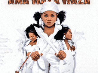 Busiswa Ama Waza Waza Mp3 Download