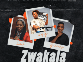 Chef DJ Zwakala Mp3 Download
