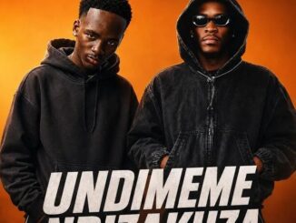DJ Kgauza Undimeme Ndizakuza Mp3 Download