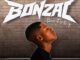 Dereal Bonile Hayi Kabi Mp3 Download