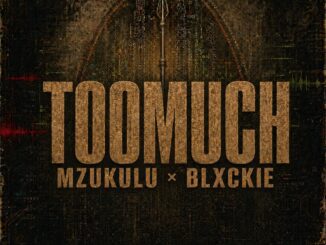 Digital Maskandi Too Much Mp3 Download