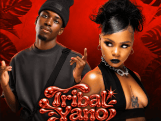 DrummeRTee924 Tribal Yano Bass Mp3 Download