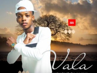 Incushe Dlamini Advice Mp3 Download