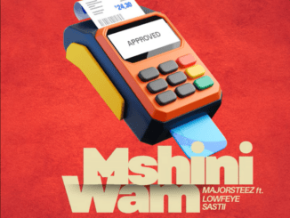 Majorsteez Mshini Wam Mp3 Download