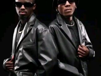 Nkulee501 501 Hits Mp3 Download
