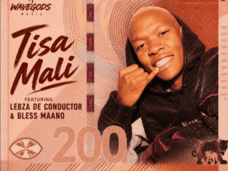Phalaza De Deejay Tisa Mali Mp3 Download