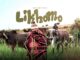 Sannere ft Ntate Milo Likhomo Video Download