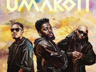 Soultronixx uMakoti Mp3 Download