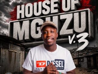 uLazi House Of MGUZU Vol. 3 EP Download