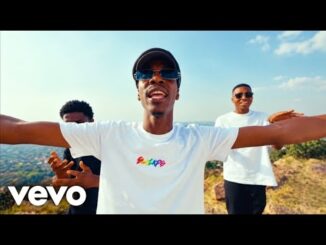 Beekay Monalayzzar Ubaba Wam Video Download