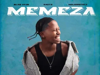 BlaQ Vein Memeza Mp3 Download