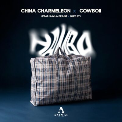 China Charmeleon Hamba Mp3 Download
