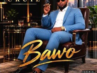 Cruiz Bawo Mp3 Download