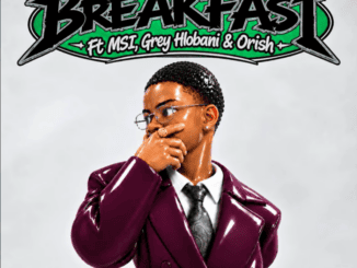 Dolphin Breakfast Mp3 Download
