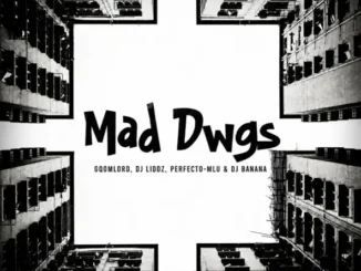 GqoMLorD Mad Dwgs Mp3 Download