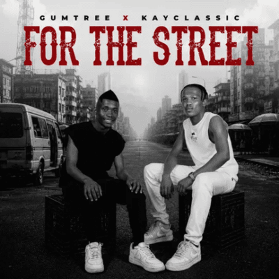 Gumtree Tshwara Mic Mp3 Download