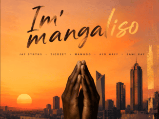 JaySynths Im'mangaliso Mp3 Download