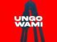 Mick Man Ungowami Mp3 Download