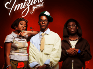 Mshibe Imizwa Yami Mp3 Download