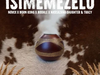 Novex Isimemezelo Mp3 Download