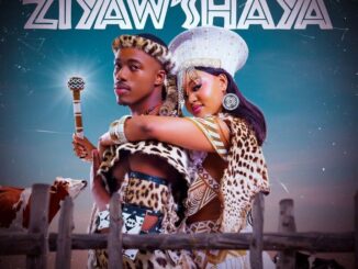Real Nkosana Ziyaw'shaya Mp3 Download