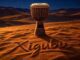 ShakaMan YKTV Xigubu Mp3 Download