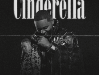 Sir Trill Cinderella Mp3 Download