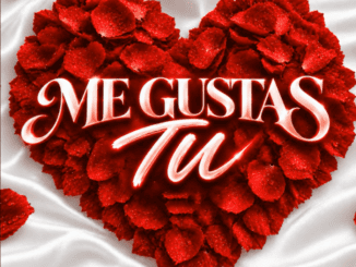 Thebuza Me Gustas Tu Mp3 Download