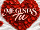 Thebuza Me Gustas Tu Mp3 Download